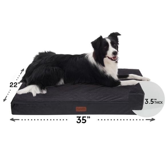 Black Orthopedic Dog Bed for Large Dogs Non-Slip Bottom Size(35"x22"x3.5") - Picture 2 of 7